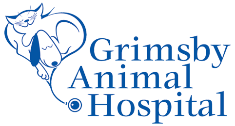 Grimsby Animal Hospital